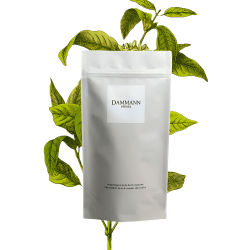 Earl grey vert calabria