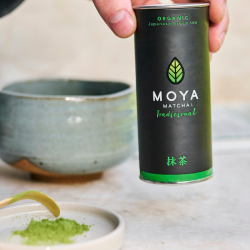 Matcha "Traditionnel"
